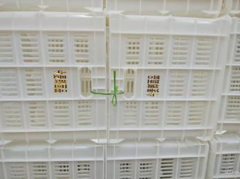 今麥郎、丹尼斯塑料筐